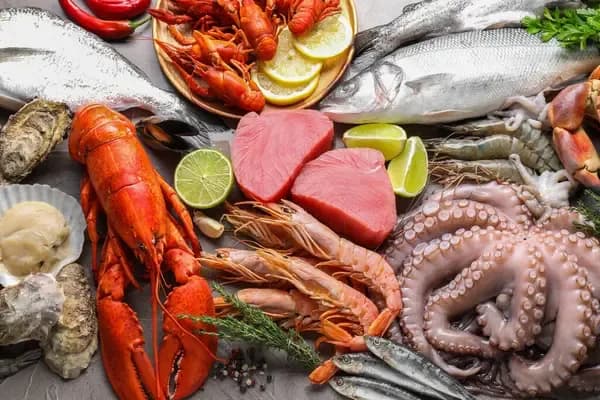 La Otra Cosecha del Mar: Por Qué los Vegetales Marinos Pueden Ser el Próximo Activo Gastronómico de Venezuela